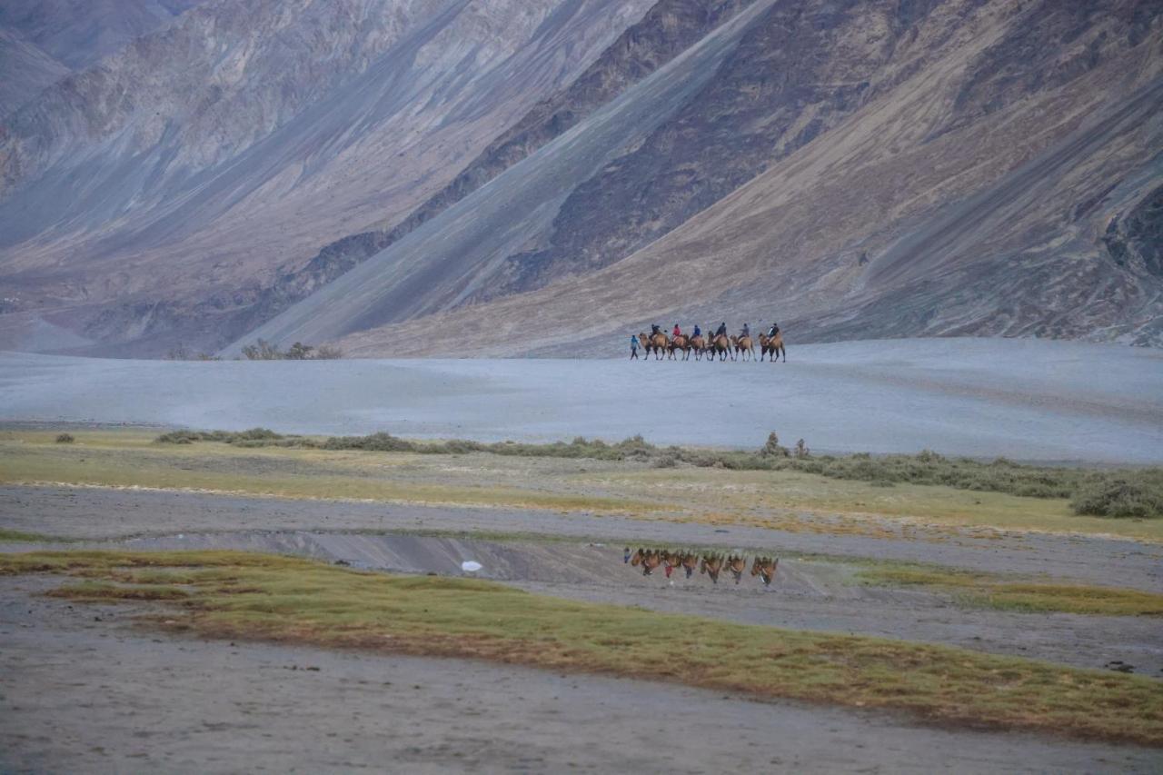 Chamba Camp Diskit Nubra Exterior foto